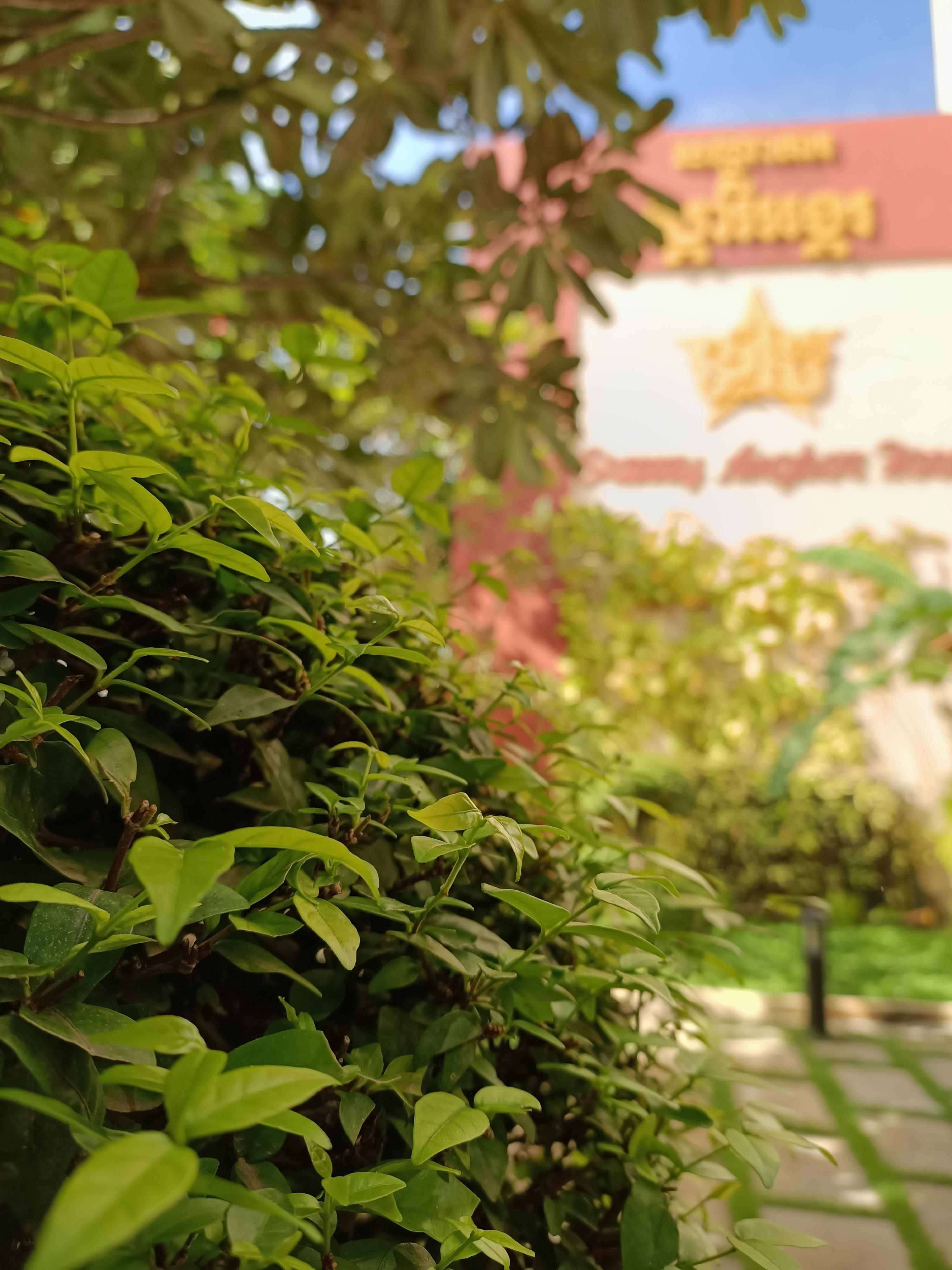 Starry Angkor Hotel Сиемрип Экстерьер фото